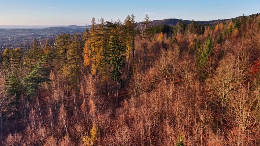 sweeping scenic vista showcasing town below amidst rolling hills and dense forests at dusk