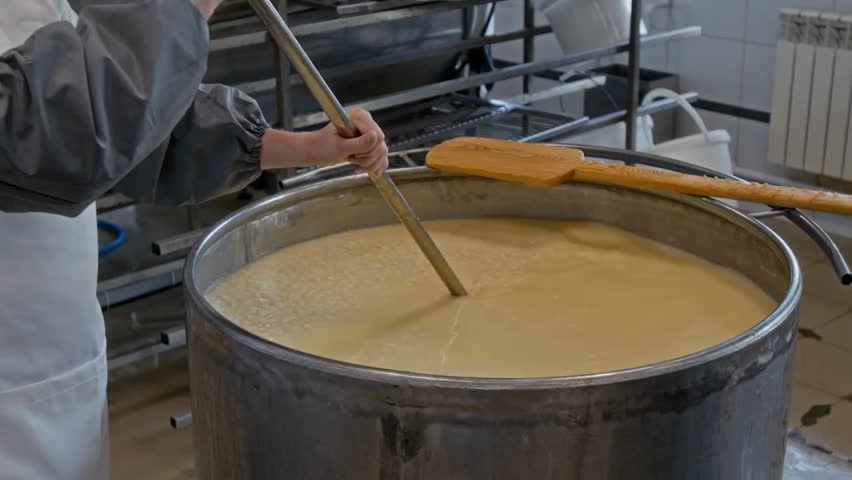 Medium close-up of hands of anonymous male cheese technician stirring curdling milk in steel vat with large whisk during coagulation process.
