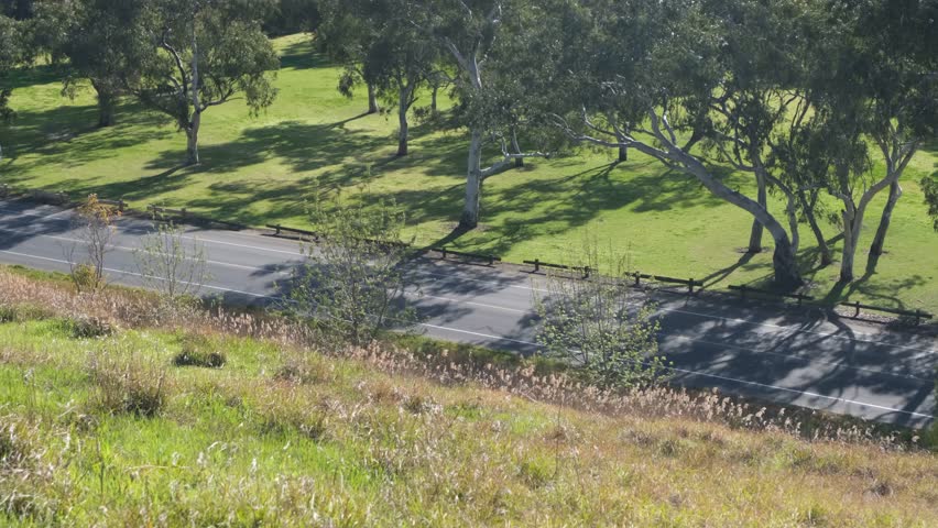 Australian roadway beside a green park with eucalyptus trees, with vehicles driving along a leafy route. Concept of transport, commuting, and community environment in Geelong, Australia.