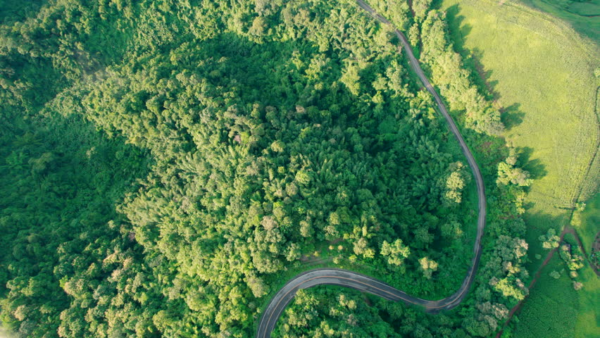 Landscape of Morning Mist with Mountain Layer. mountain ridge and clouds in rural jungle bush forest
