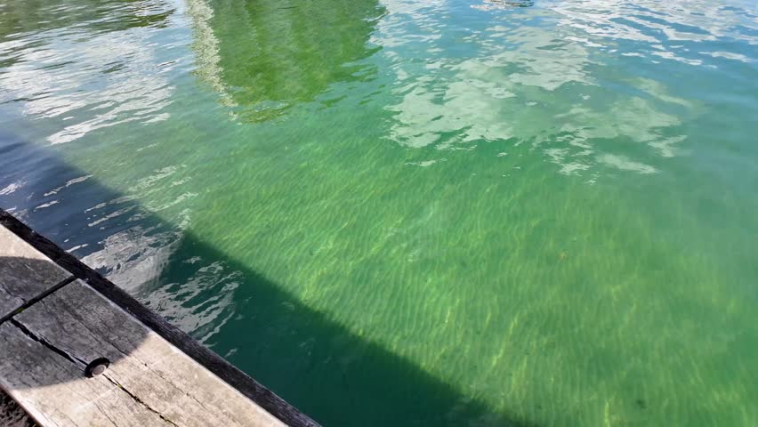 Coastal waterfront view at Port Melbourne, Australia. Clear sea waters lined with modern apartment towers, palm trees, and the scenic foreshore promenade. A tranquil seaside urban lifestyle atmosphere