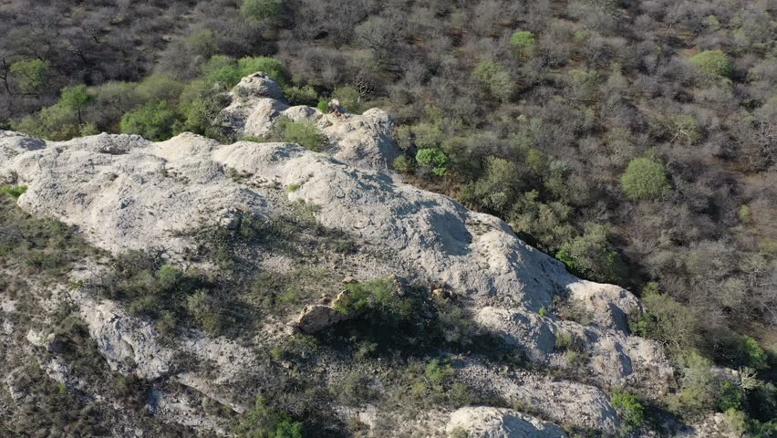 aerial view Serowe hills Botswana, rocks close cliff , bush with acacia trees daytime, rural area
