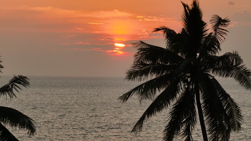 The sun sets over the tropical sea, creating golden reflections and palm silhouettes. Ko Pha Ngan, Thailand.