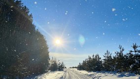 Scenic winter landscape with bright sun shining over a snowy forest road. Snowflakes sparkle in the sunlight, creating a peaceful and magical cold-weather atmosphere. - Powered by Shutterstock - Get 15% off with code: PIKWIZARD15