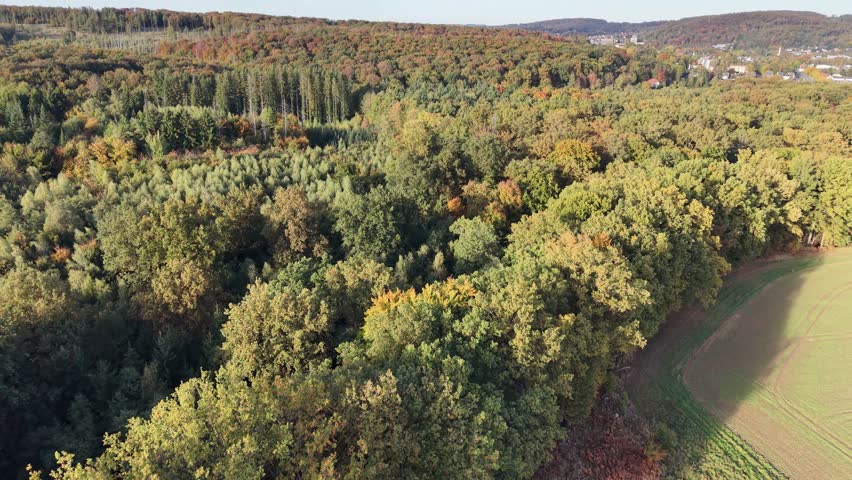 Autumnal forest landscape: a mixture of coniferous and deciduous forest seen from the air.