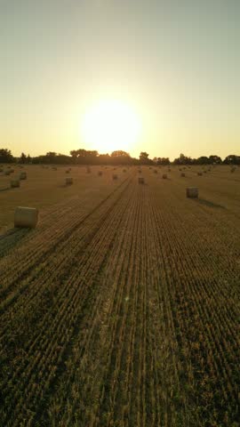 Golden hay bales dot the landscape as the sun sets behind the trees, casting a warm glow over the fields. The serene scene captures the essence of nature's beauty at day's end.