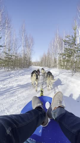 Snow White landscape trees winter
