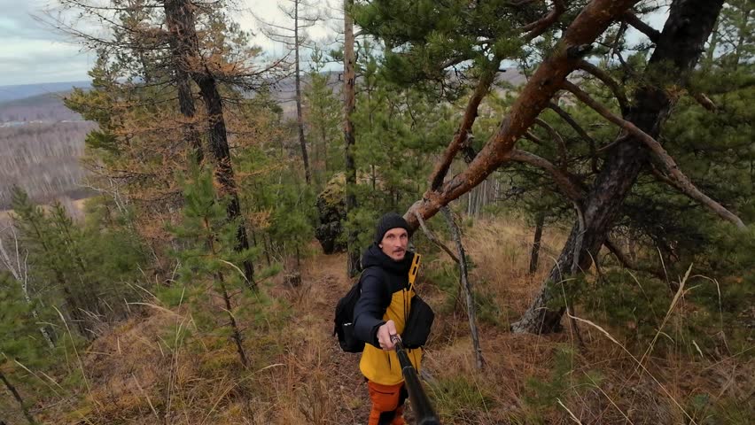Tree expert evaluates, Forestry specialist checks unstable pine, Arborist examines slanting pine tree near ridge, Professional tree inspector assesses stability and plans removal carefully