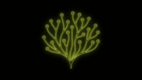Yellow Neon Abstract Plant Outline on Transparent Background video. Alpha Channel. - Powered by Shutterstock - Get 15% off with code: PIKWIZARD15