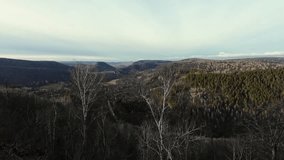 Aerial drone view of forested ridge and birch canopy revealing layered valley and distant hills, soft sky and winter light emphasize texture of trees and expansive wilderness vista - Powered by Shutterstock - Get 15% off with code: PIKWIZARD15