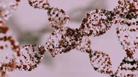 Abstract genetic structure motion background. 3d animation of DNA helix molecule. Rotating DNA strands in molecular network. Molecular chain structure - Powered by Shutterstock - Get 15% off with code: PIKWIZARD15