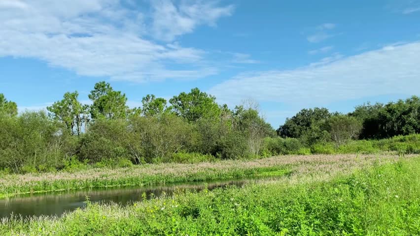Panoramic view of lush green lake and blue sky with white puffy clouds