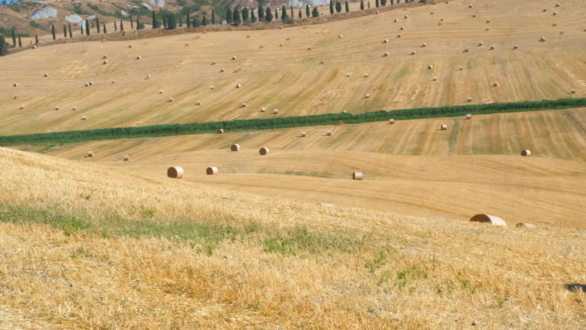 Golden hay bales on a rolling harvested field. Panning shot across a vast rural landscape with golden round hay bales scattered on a harvested grain field, showing the picturesque countryside