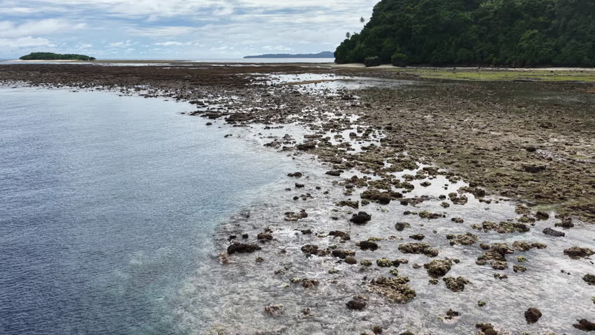 Low tide exposes corals at the historic island of Ruhn in the remote Banda Islands of Indonesia. This region is home to spectacular marine biodiversity and is a destination for divers and snorkelers.