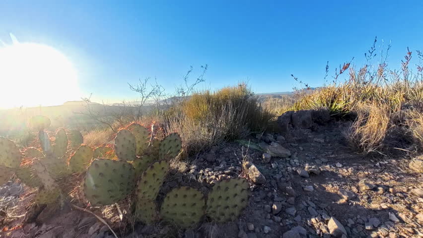 Rising up over views of Mesa de Anguila in Big Bend