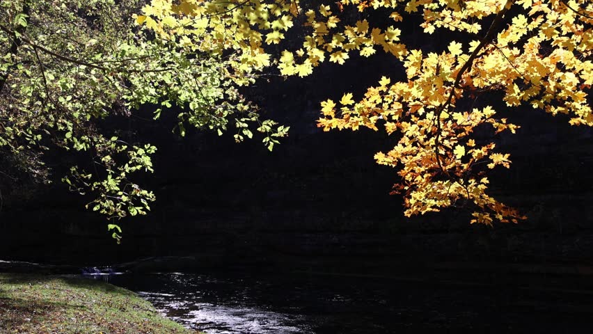 Sunny view of the beautiful autumn landscape in Dogwood Canyon Nature Park at Missouri