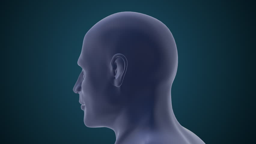 TMJ Disorder Causing Jaw Pain and Inflammation