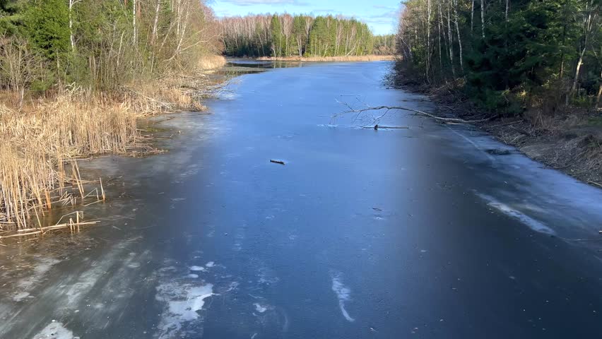 Icy river flowing through an early spring forest. The dark blue ice reflects the sky, contrasting with bare trees and brown reeds.
