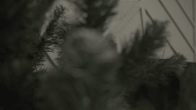 Close up of hands adjusting artificial Christmas tree branches before holiday decoration at home. Concept of Christmas preparation and winter celebration - Powered by Shutterstock - Get 15% off with code: PIKWIZARD15