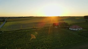 Aerial view of small family winery with vineyard rows and farmhouse in rural landscape at sunset. Concept of private winemaking, sustainable agriculture and small business - Powered by Shutterstock - Get 15% off with code: PIKWIZARD15