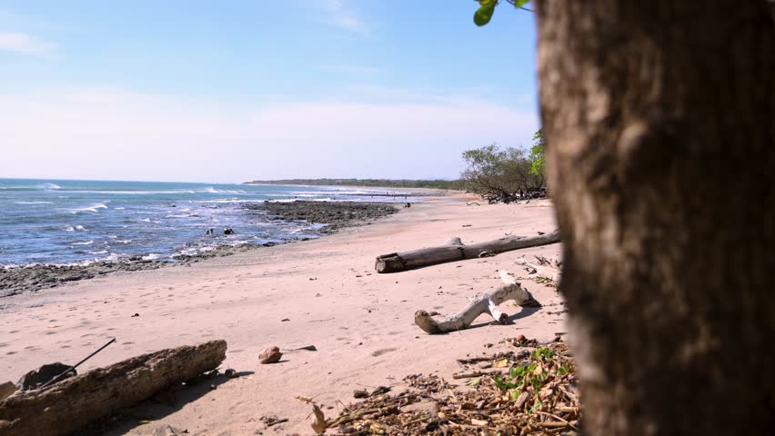 Remote tropical beach with driftwood and rocky shorleline under a clear blue sky