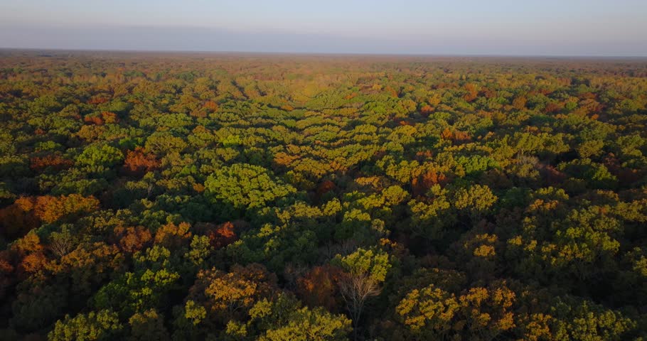 Scenic aerial view of Arkansas forest in autumn