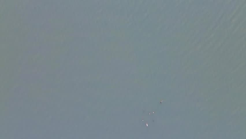 Scenic Aerial View of Lake at Sunset