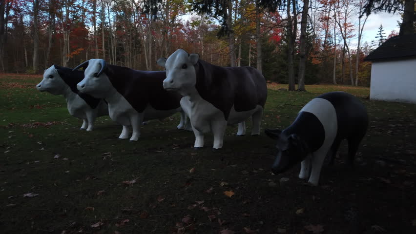 A surreal trio of life size painted model cows, with a solitary pig, in the countryside, medium wide shot