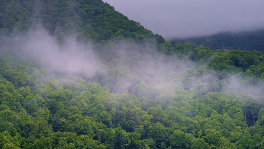 Aerial pass gliding above a peaceful, fog-layered Smokies landscape.