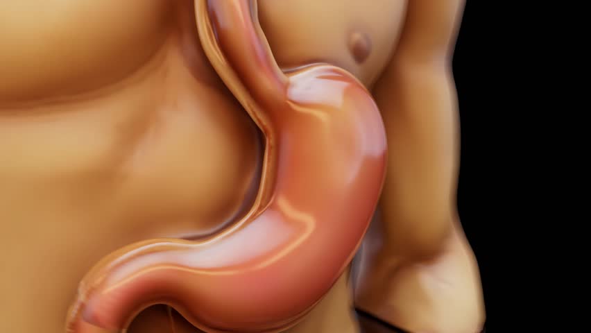 Conceptual 3D animation of a man with his stomach on fire