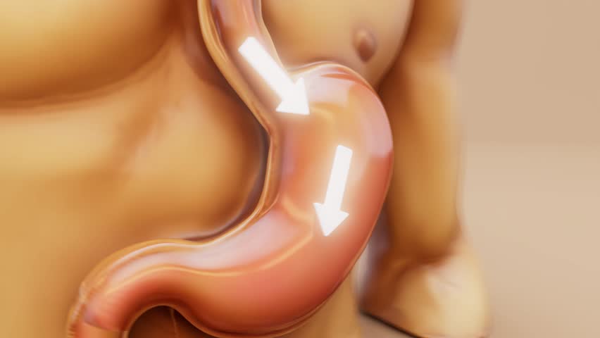 Conceptual 3D animation of a man showing stomach anatomy