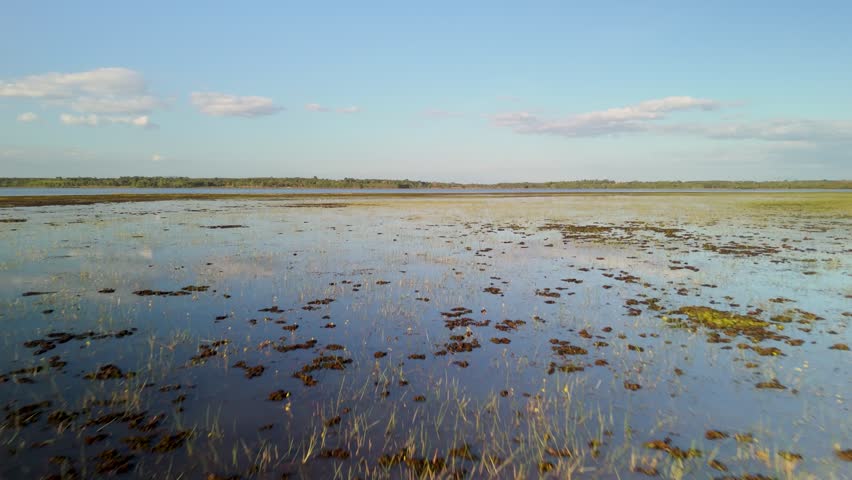 Vast flooded plain with scattered vegetation reaching far toward distant tree line.