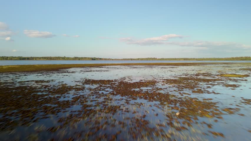 Wide calm blue wetland surface with grassy patches under soft clouded sky.