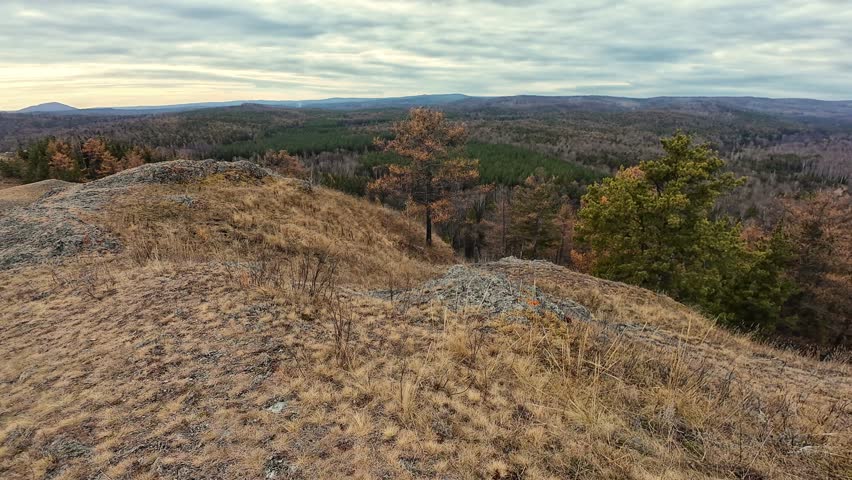 Grassy ridge overlook forested valley with scattered pines, muted autumn colors, distant rolling hills under cloudy sky, quiet viewpoint perfect for reflection and ambient nature shots