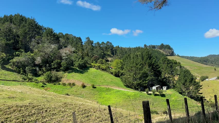 A scenic drive through the lush green hills and countryside of New Zealand’s North Island. Peaceful nature, open roads, and vibrant landscapes make for the perfect road