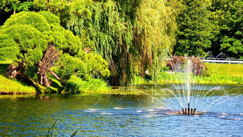 Fountain spraying water in pond surrounded by trees on bright summer day