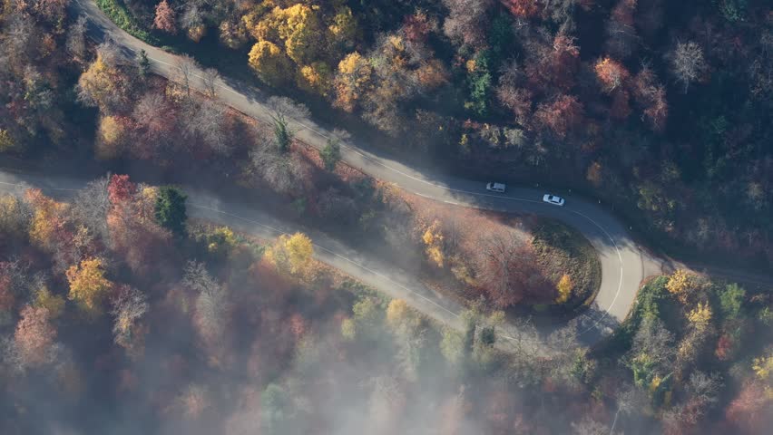 Aerial view of a winding road cutting through a colorful forest, with autumn foliage and mist creating a serene and picturesque landscape, Orschwiller, Grand Est, France.