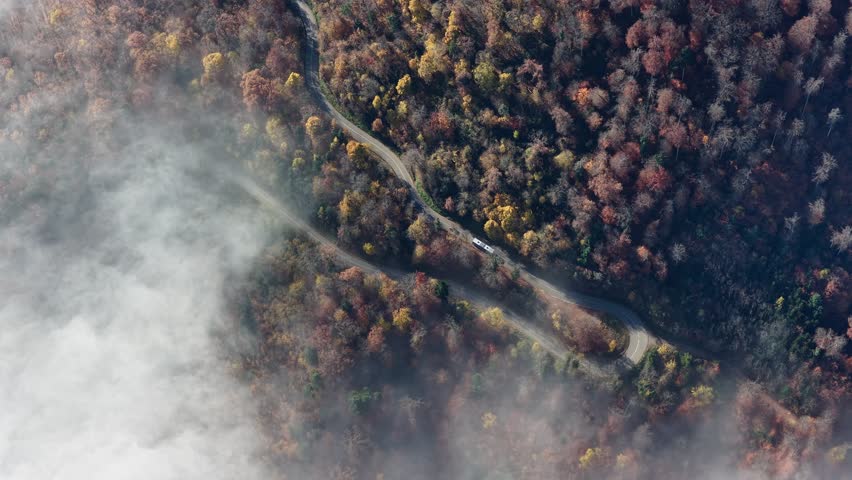 Aerial view of a winding forest road amid colorful autumn trees, partly obscured by a blanket of ethereal fog, Orschwiller, Grand Est, France.