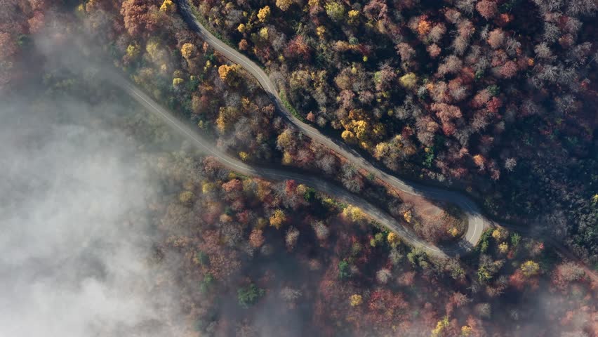 Aerial view of a winding road cutting through a dense forest painted in the vibrant hues of autumn, partially obscured by a blanket of fog, Orschwiller, Grand Est, France.