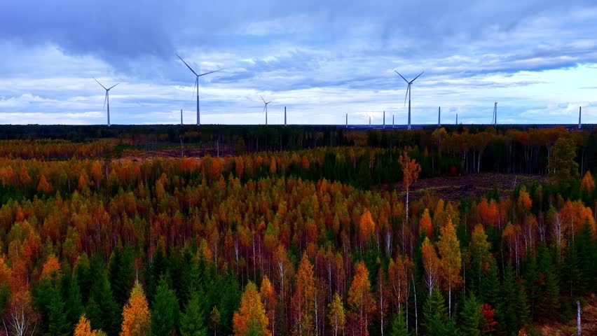 Aerial over vibrant autumn forest with backdrop of wind turbines under cloudy sky