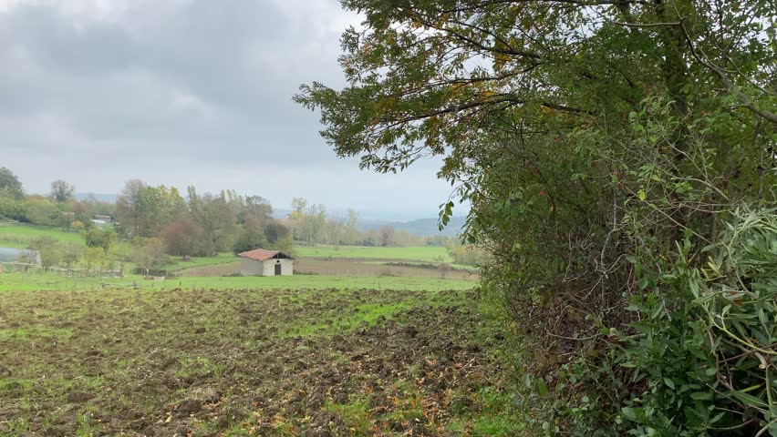 Rolling Green Hills with Scattered Trees in Rural Landscape Wide View