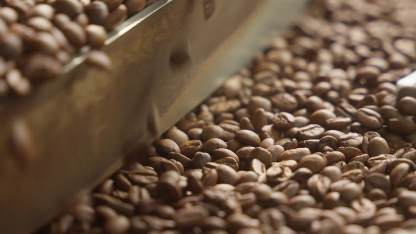 Close up pile of roasted coffee beans mixing in automatic mixer roaster blend metal drum machine stirring roasting cocoa caffeine production facility grains in grinder industrial drink preparation