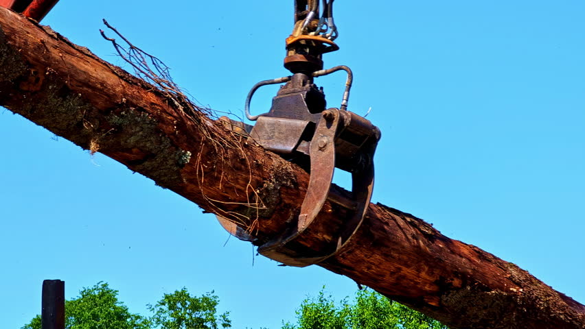 Mechanical grab lifting heavy logs during wood loading process on sunny summer day