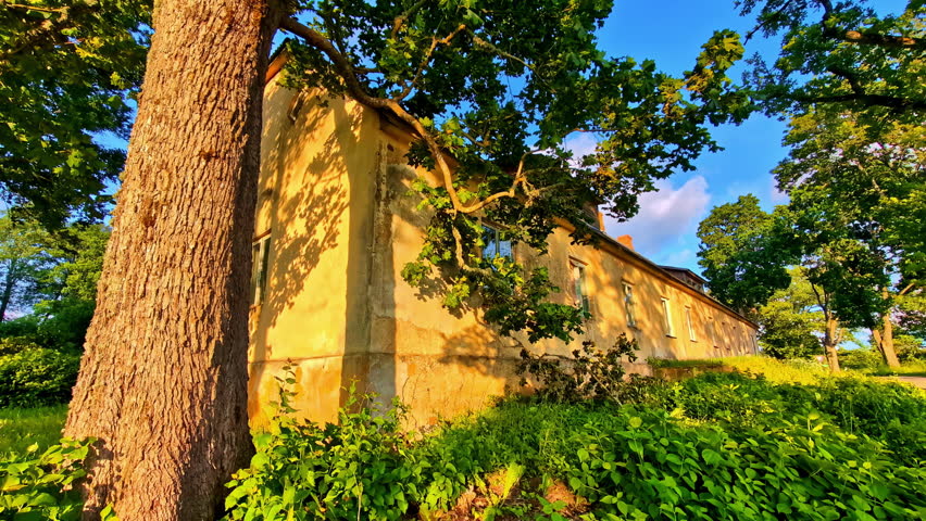 Old Rural House Surrounded by Trees and Bushes in Warm Golden Summer Sunset
