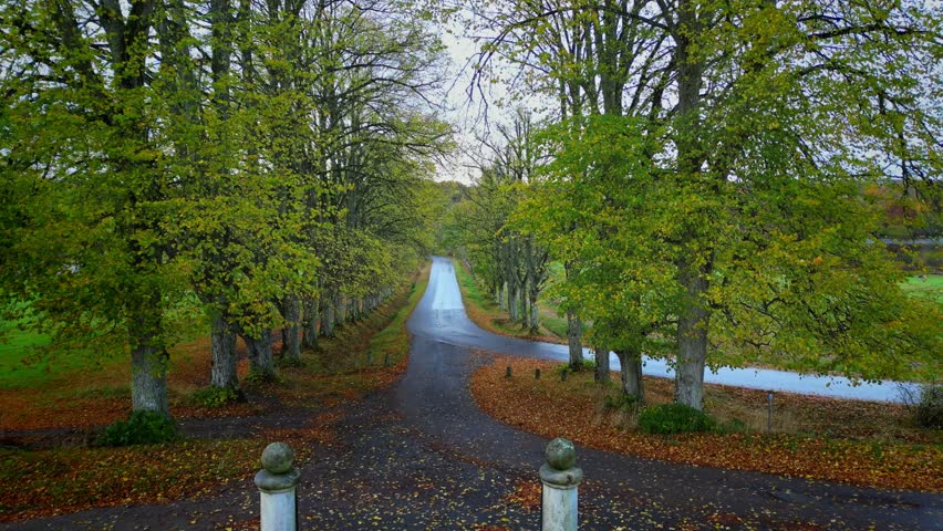 Drone View of Autumn Tree Lane near Naas Alingsås, Sweden