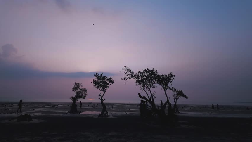 A serene coastal landscape captured during sunset, featuring silhouetted trees standing on a calm beach under a purple and pink twilight sky. The tranquil scene reflects beautifully on the wet sand 