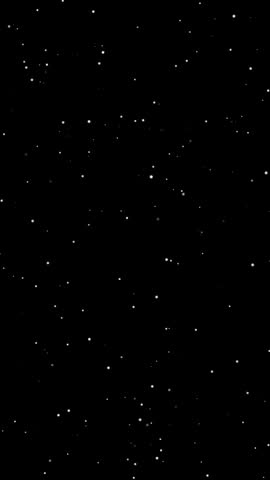 Vertical Slow Falling Snow Overlay Alpha Channel 4K Loop for Social Media