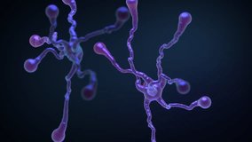 Visualization of neural network and brain activity, combining artificial intelligence with biological structure. Neurons, dendrites, axons and synapses transmitting data. Looped video, dark background - Powered by Shutterstock - Get 15% off with code: PIKWIZARD15