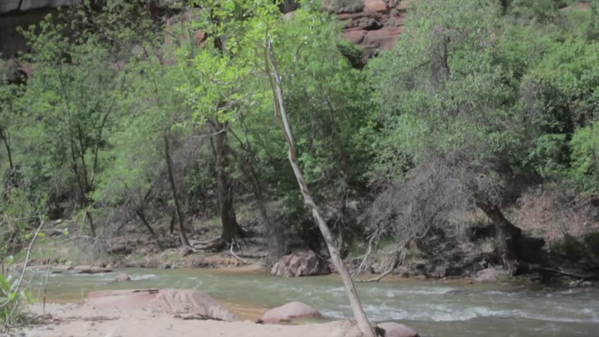 Beautiful red rock cliffs in Zion National Park Southern Utah
