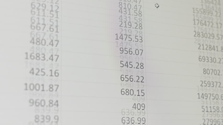 Detailed view of financial data from a spreadsheet